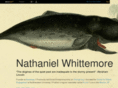 nathanielwhittemore.com