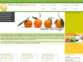websitedesigningdelhiindia.com