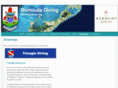 bermudadiveshops.com