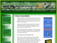 earnextraincome.com
