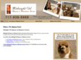 midnightoilalpacasandminaturehorses.com