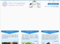 morningsilver.com
