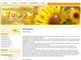 silberringe-shop.de