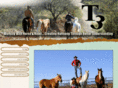 turninthree.com