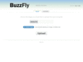 buzzfly.info