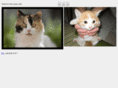 catrank.com