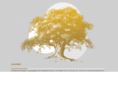 goldbaum-management.de