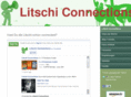 litschi-connections.net