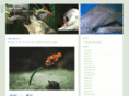 veuanimal.com