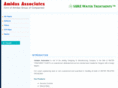 amidasassociates.com