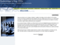 buckenmeyer-king-cpa.com