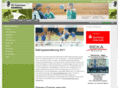 frommern-handball.com