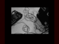 thetrustmusic.com