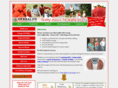 wellnessforsure.com
