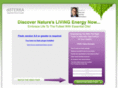 incomexl.com