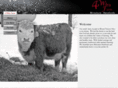 4wileyfarm.com
