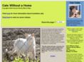catswithoutahome.com