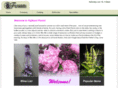 fujikamiflorist.com