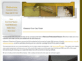 halversoncarpetcleaning.com