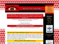 thefireplaceman.com