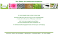lass-granit.com