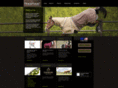 ramborugs.com