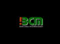 bcm-consult.com
