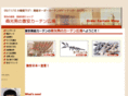 e-curtain.net