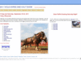 horseandcoltshow.com