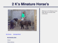 2ksmini.com