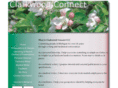 clarkwoodconnect.com