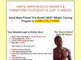 freeweighttrainingprogram.com