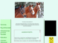 hevoniemi.com