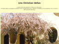 lire-christian-vellas.com