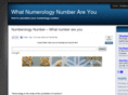 numerologynumber.net