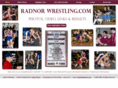 radnorwrestling.com