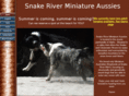 snakeriverminiatureaussies.com