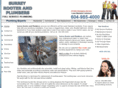 surreyrooterandplumbers.com