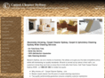 carpetcleanersydney.com