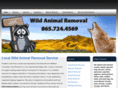 knoxvillewildliferemoval.com