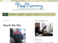 pawpurrry.com