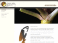 sakura78.com
