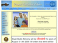 silverbulletalchemy.com