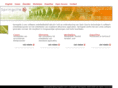 springsite.com