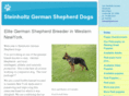 steinholtzgsd.com
