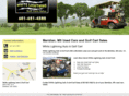 whitelightninggolfcarts.com