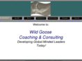 wildgoosecoaching.com