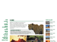 dukesafaris.com