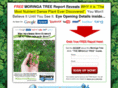 findingbetterhealth.com