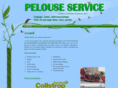 pelouse-service.com